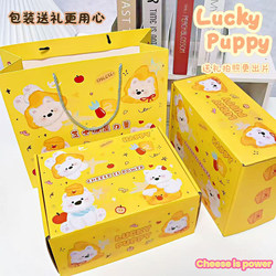 Original Cartoon Cheese Puppy Hard Gift Box with Card Packaging, High Aesthetic Value Gift Box, Express Delivery Box, Airplane Box