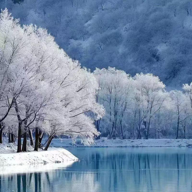 新疆旅游双湖集禾北疆喀纳斯禾木赛里木湖拼车7日含接送机大七座