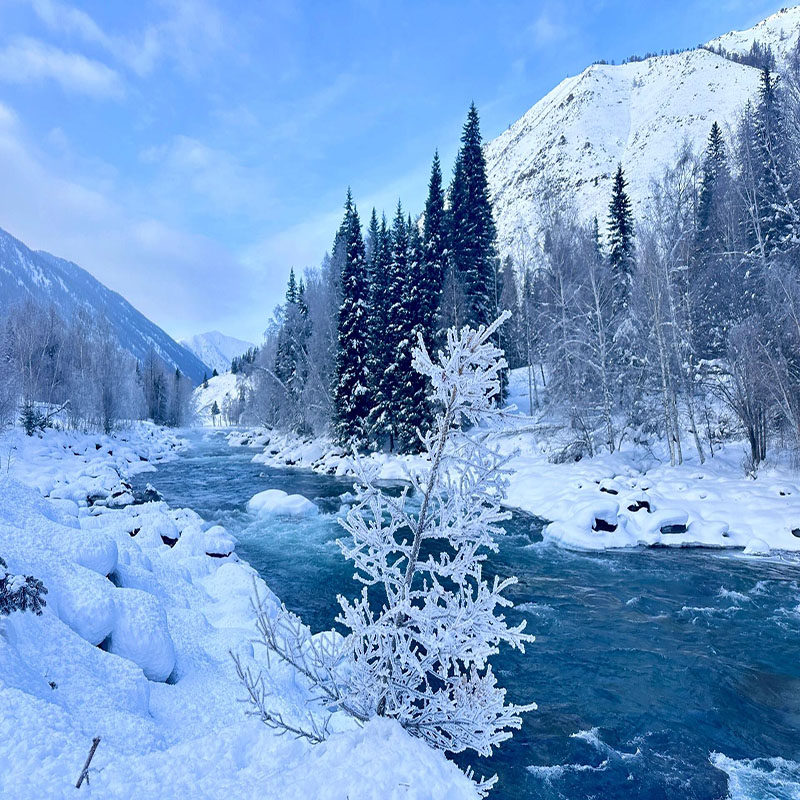 新疆旅游阿勒泰喀纳斯禾木白哈巴吉克普林海上魔鬼城将军山5日嗨
