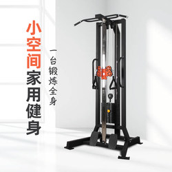 Single-Sided Gantry Small Bird Comprehensive High-Position Pull-Down Trainer Home Fitness Equipment Multifunctional