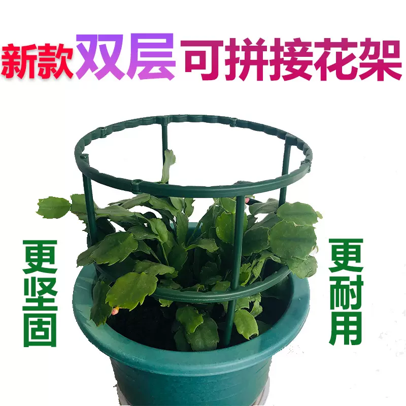 绿萝蝴蝶蟹爪兰盆栽花盆固定支架圈托架护叶子植物