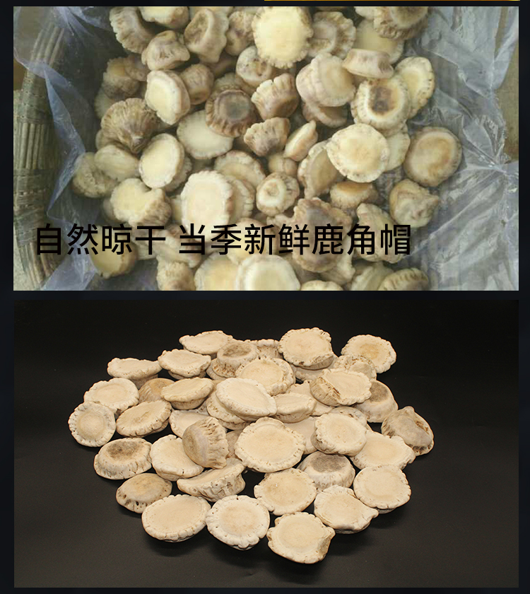 鹿茸　100g 翠秀堂鹿茸粉末 100g - 吉林シカ鹿