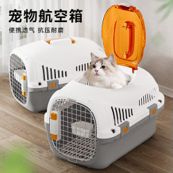 Hippie Dog Simple Style Contrasting Color Portable Flight Box Small Dog and Cat Wear-Resistant Travel Outing Box Pet Supplies