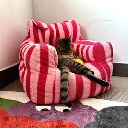 Cat Nest Sofa, Thickened for Winter, Warm and Secure Sleeping Nest, Removable and Washable Cat Mattress, Universal for Pets, 2025 New Model