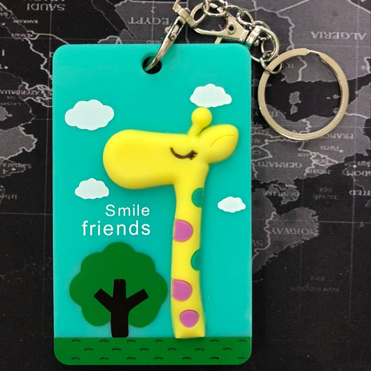 POCHETTES DE PROTECTION Pour Cartes Couverture De Carte Couverture De