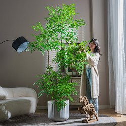 Simulated Encrypted Nandina Bamboo Artificial Flower Tree Indoor Potted Plant Large Bionic Ornament Living Room Light Luxury Decoration Floor-Standing Potted Plant