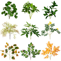 Artificial Green Plant Money Tree Leaves Indoor Fake Tree Outdoor Green Potted Plant Soft Decoration Small Plant Landscaping Decorative Ornament