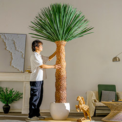 Large Artificial Green Plant Scarecrow Dragon Blood Tree Fake Tree Bionic Plant Potted Plant Living Room Indoor Landscaping Decoration Ornaments