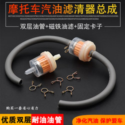 Motorcycle Filter, Gasoline Pipe Filter Element, Gasoline Filter, Fuel Pipe, Scooter Carburetor Oil Cup