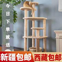 Free Shipping to Xinjiang and Tibet, Four-Season Rattan Mat, Space-Saving Large Cat Bed, Cat Tree with Integrated Cat Toy Ball, Cat Climbing Frame