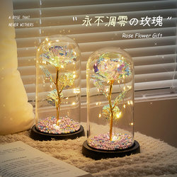 520 Valentine's Day Birthday Gift for Girls to Give to Their Girlfriends, Best Friends, Friends, Students, Girls, Practical Bouquets of Everlasting Flowers