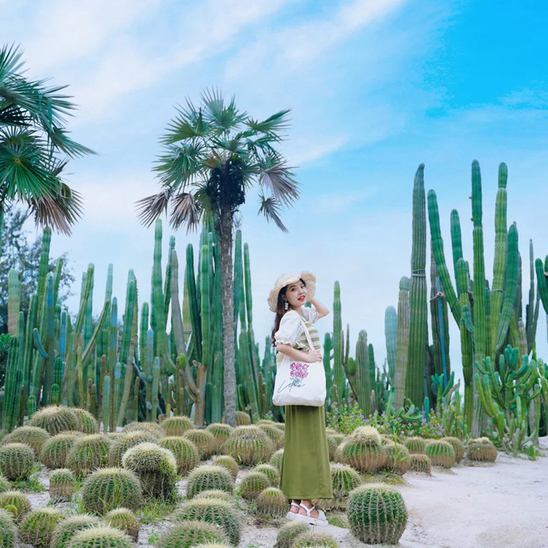 橙怡旅行福建福州泉州厦门3天2晚跟团游爸妈亲子情侣旅游