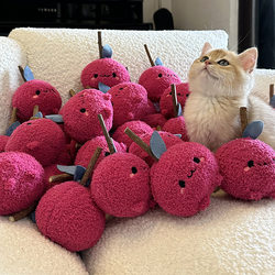 Coni Life Cute Cat Teething Toy, Wood, Self-Entertainment, Boredom Relief, Pet Supplies, Durable Chewable Cat Teaser Stick