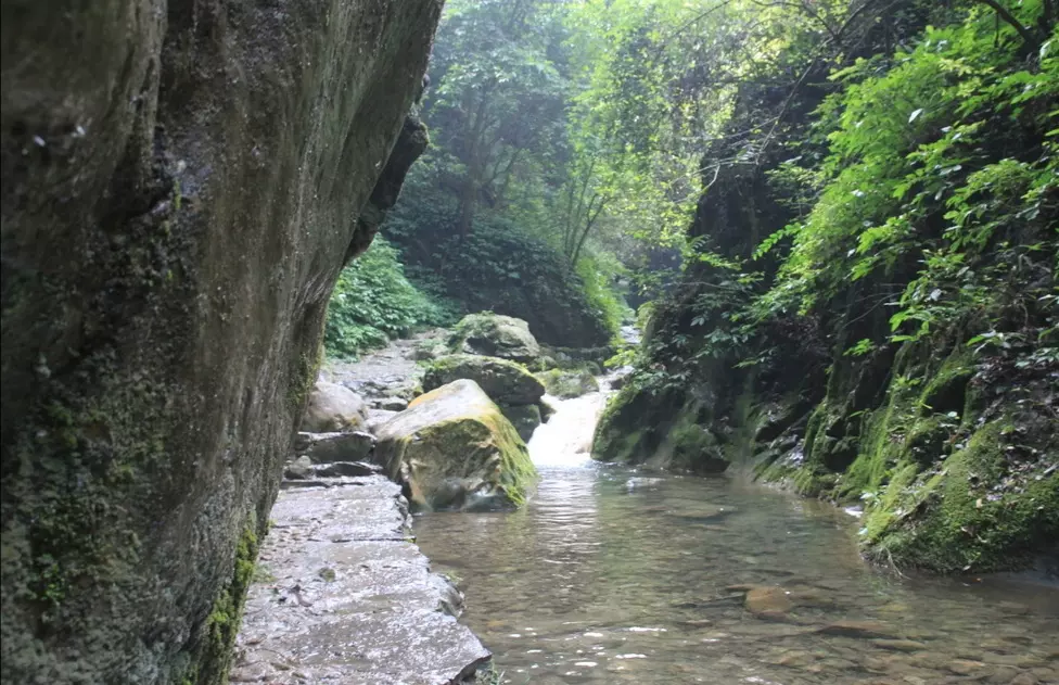 西河大峡谷图片