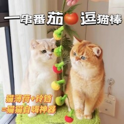 Cat Toy Small Tomato Persimmon Skewer Teaser Stick for Cats, Self-Entertainment Boredom-Relief Gadget, Bite-Resistant with Bell, Cat Toy