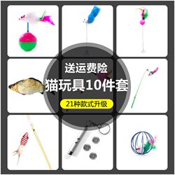 Cat Toy Set Self-Entertaining Laser Cat Teaser Stick Mint Fish Tumbler Mouse Boredom Buster Kitten Cat Pet Supplies