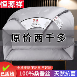 Hengyuanxiang Silk Quilt 100% Mulberry Silk All-Cotton Thickened Winter Quilt Spring and Autumn Quilt Two-In-One Quilt Core Wedding Celebration