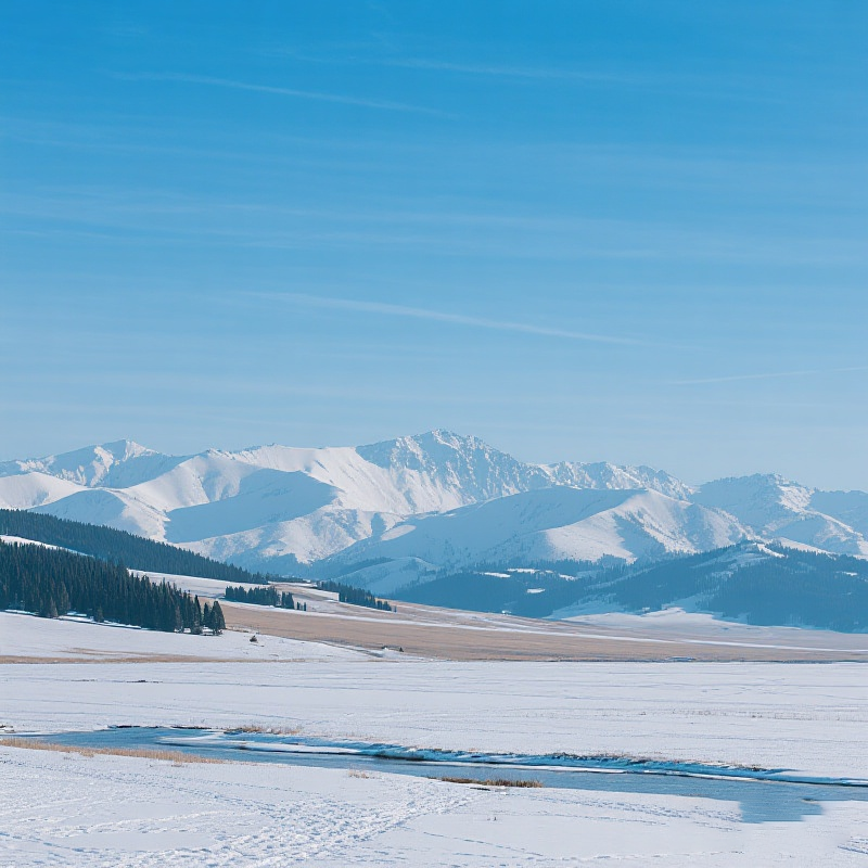 6人团新疆旅游北疆纯玩7天6晚跟团游住5钻将军山滑雪二进赛湖禾木