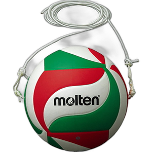 Japanese direct mail Molten Tessa Ball No. 5 Volleyball V5M9000T