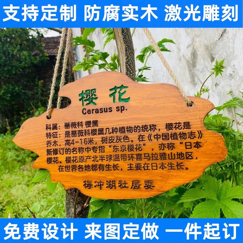 木牌刻字树牌挂牌定制树木介绍牌植物标识牌动物名称牌绿植标记牌-淘宝网
