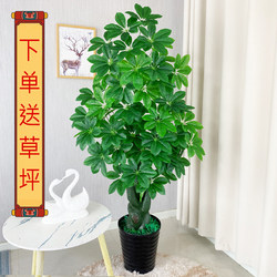 Artificial Green Plants, Artificial Potted Plants, Large Decorative Items, Fake Trees, Office Fake Money Trees, Indoor Floor-Standing Floral Arrangements