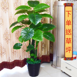 Dripping Water Guanyin Artificial Flower Arrangement, Green Plants, Artificial Plastic Flowers, Artificial Trees, Fake Green Plants, Decorative Artificial Indoor Plants