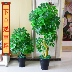 Simulated Money Tree, Money Plant Potted Green Plant, Living Room Decoration, Large Floor-Standing Green Plant, Plastic Bonsai, Simulated Green Plant