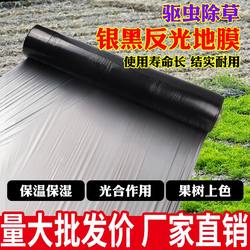 Silver and Black Dual-Color Reflective Silver-Gray Mulch Film for Fruit Trees, Specialized for Preventing Weed Growth, Black Adhesive Film for Agricultural Planting, Thickened