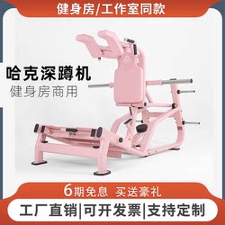 Women's Gym Shaping Equipment Hack Squat Machine High Pull-Down Trainer Hip Bridge Machine Commercial Fitness Equipment