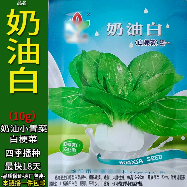 奶油白10g四季蔬菜种子孑籽小白菜青菜白上海青阳台盆栽庭院地上-Taobao