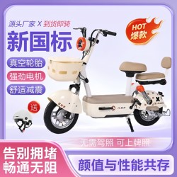 Metaverse's New Model of New National Standard Electric Vehicle, New Electric Bicycle for Girls, Small-Sized Transportation Vehicle That Can Be Registered