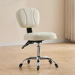 Nail Technician's Special Chair, Dentist's Chair, Barber's Chair, Beauty Salon Work Stool with Backrest, Adjustable Height and Swivel Chair