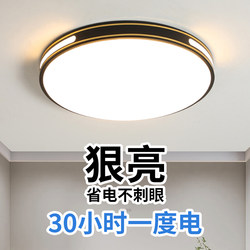 Master Bedroom Ceiling Light, Living Room Pendant Light, Complete Collection of 2026 New Models, Modern and Simple, Elegant, Guangdong Zhongshan