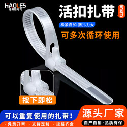 Colorful Retractable Nylon Cable Ties, Detachable, Adjustable, Black and White, Reusable Plastic Buckle Fixed Cable Ties