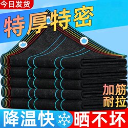 Black Shade Net, Sunshade Net, Sun Protection Net, Encrypted and Thickened, for Balcony, Courtyard, Flowers, Rooftop, Carport, Heat Insulation Net, Black Gauze Net