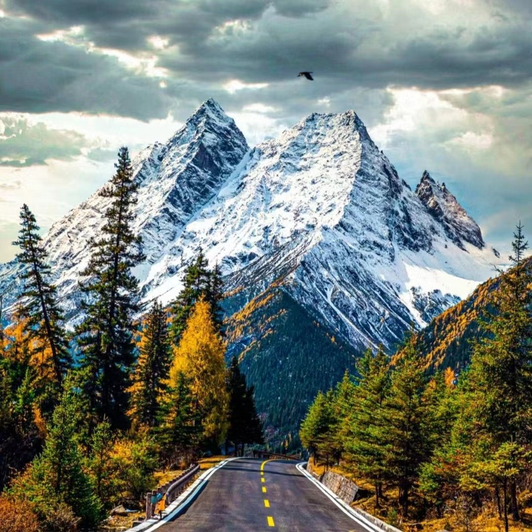 【摄影团】川西旅游四姑娘山冷嘎措鱼子西子梅垭口4日游2-8人团