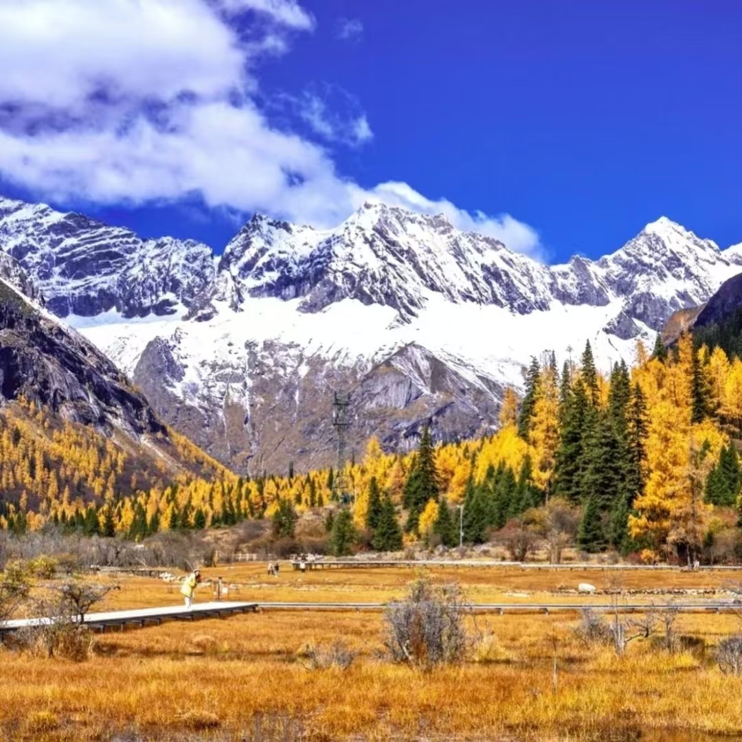 【理小路越野团】川西旅游结斯冰川毕棚沟姑弄村贡嘎雪山5日纯玩