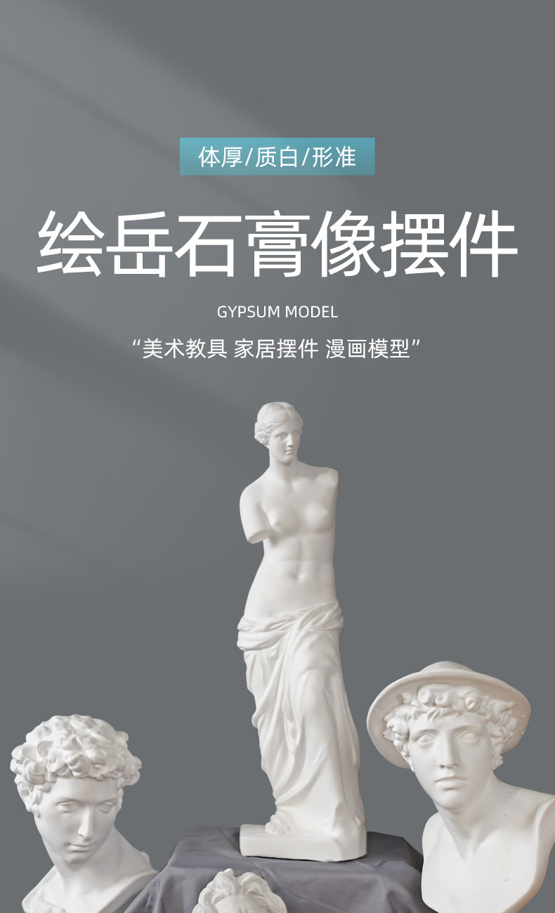 Huiyue 30cm 石膏頭彫刻 - 美術教育支援