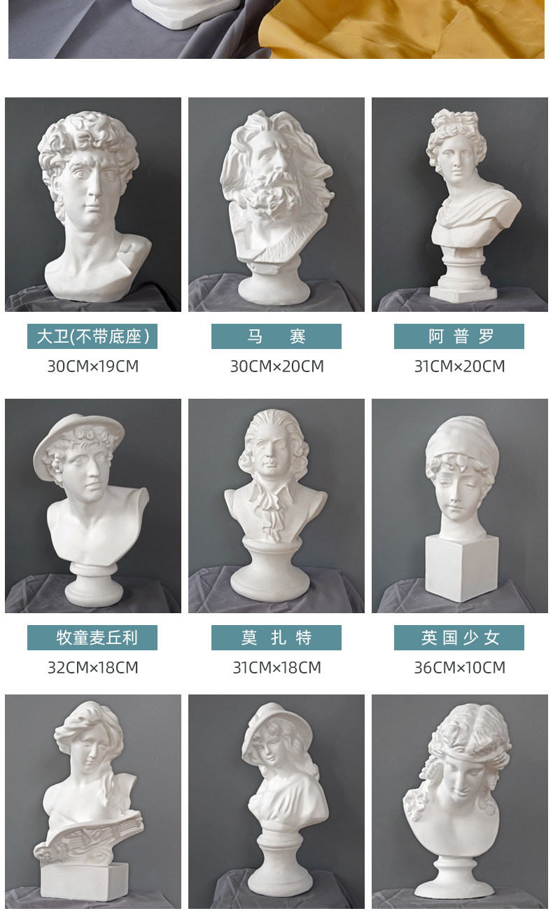 Huiyue 30cm 石膏頭彫刻 - 美術教育支援