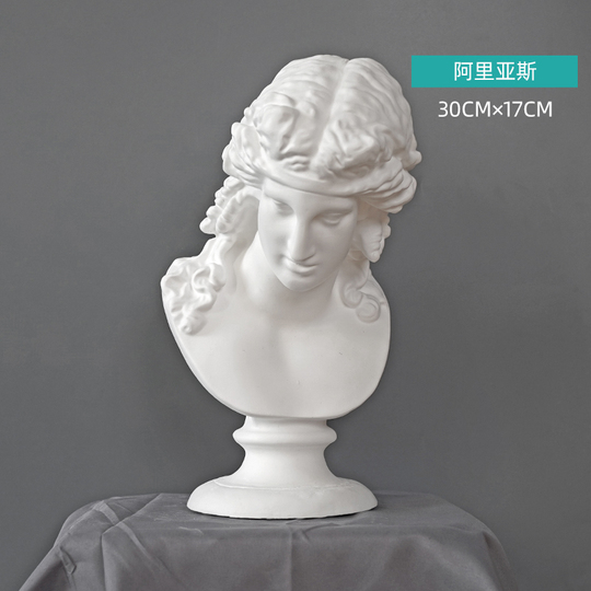 Huiyue 30cm 石膏頭彫刻 - 美術教育支援