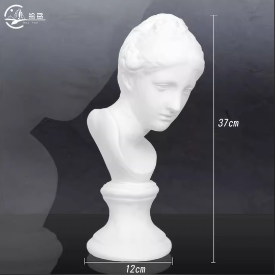 Huiyue 40cm ヴィーナス石膏頭 - アート彫刻 & 教育支援