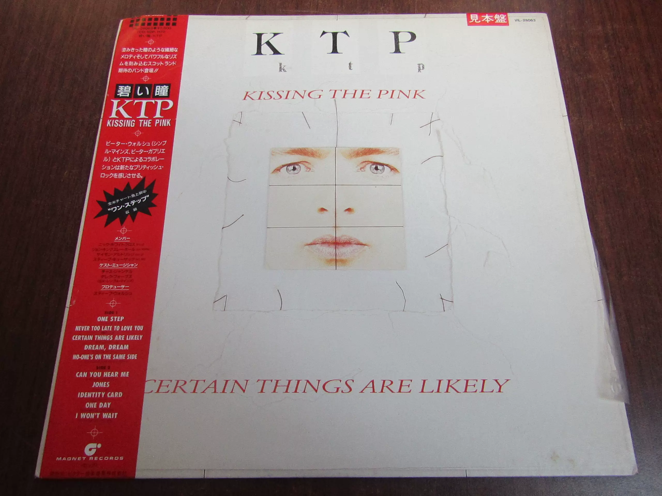 Kissing The Pink Certain Things Are Likely12寸黑胶LP-Taobao