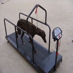 Home Pet Training Dog Treadmill, Electric Treadmill for Dogs, Greege Huiehui Whippet Remote Control Treadmill