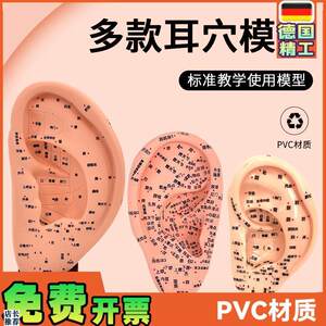 超清晰经络通人体针灸穴位模型针灸F耳针穴模型耳模16cm耳朵