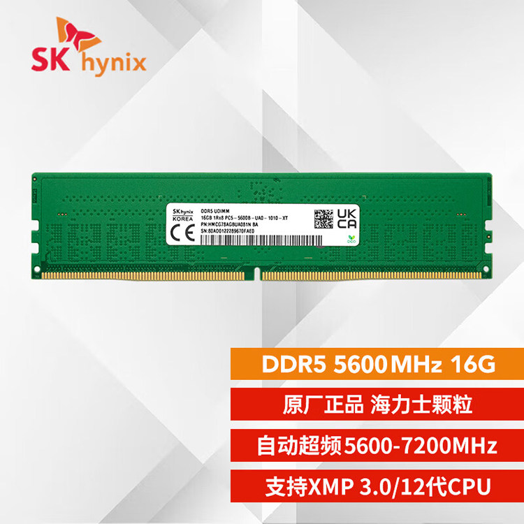 Hynix DDR5 5600MHz 16GB Single Memory
