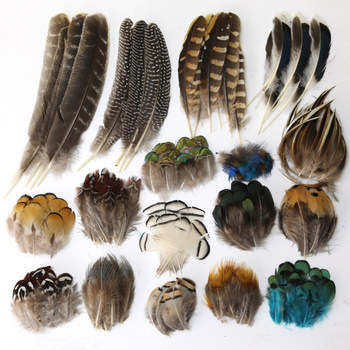 Bird feather DIY material feather decorative specimen production