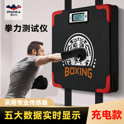 Boxing Force Measuring Device, Boxing Power Tester, Electronic Impact Force Tester, Training Display for Force Value, Wall Target
