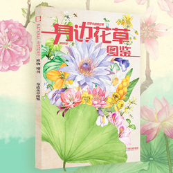 Flowers And Grass Illustrations Around You Natural History Magazine Flowers And Plants Featured Collection Natural History Supplement 2022 Supplement Gift Subscription China National Geographic Flagship Store