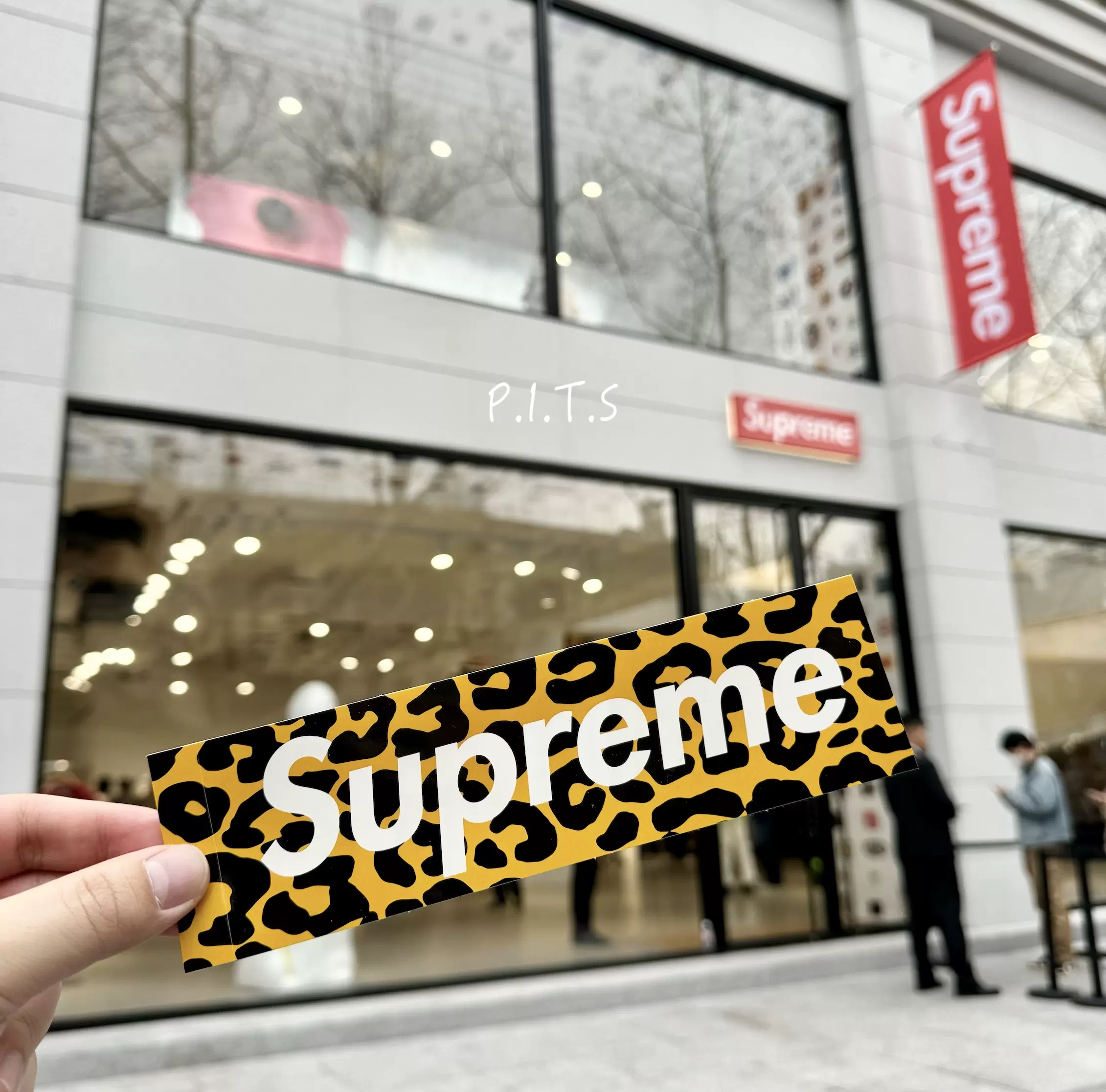 Supreme 店铺限定开业Box Logo Sticker 贴纸LA 上海首尔-Taobao Singapore