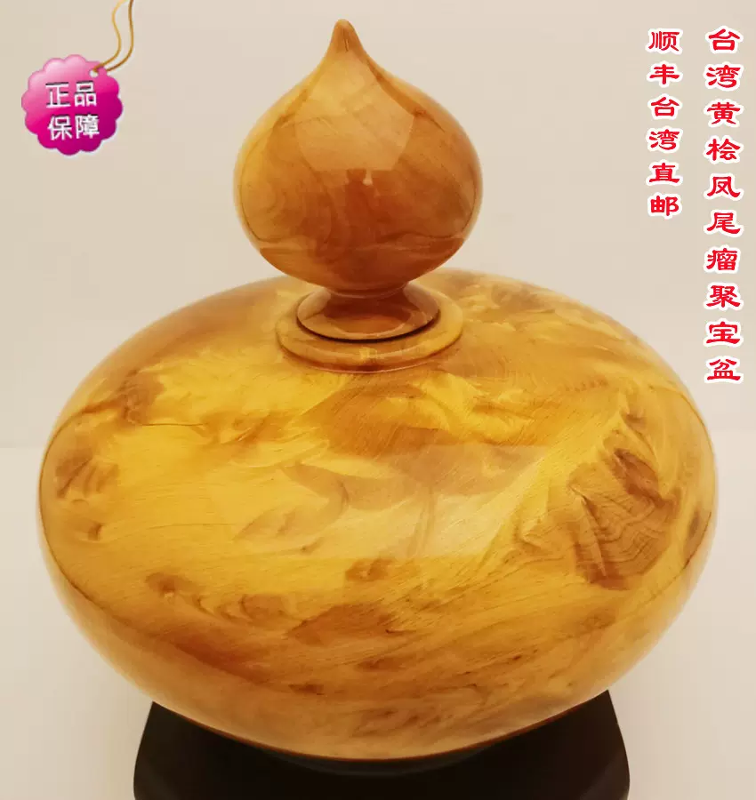 桧木聚宝盆瘤花凤尾瘤居家摆件观赏送礼收藏精品保值台湾直
